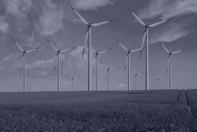 Disciplines - Intellex