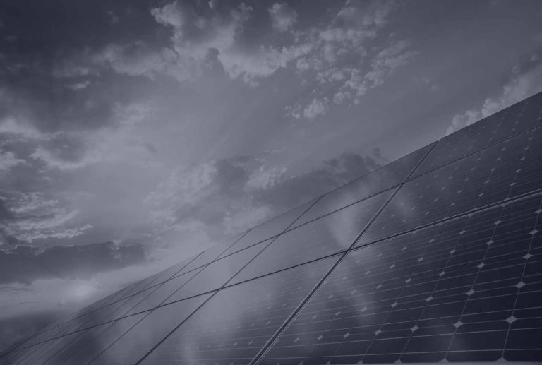 Disciplines - Intellex