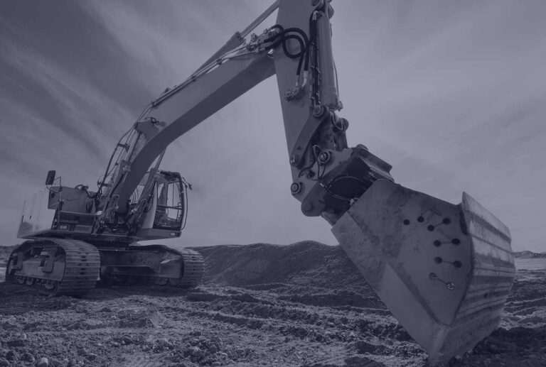 Disciplines - Intellex